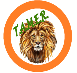TAMER